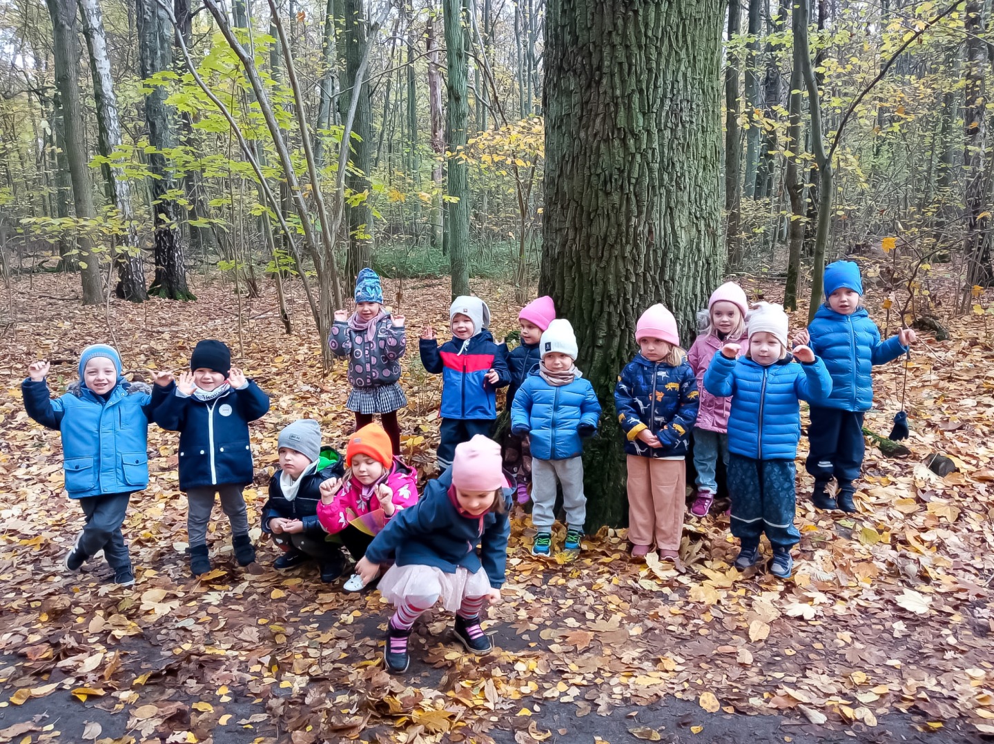 CZY JUŻ WSZYSTKIE LIŚCIE SPADŁY